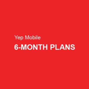 6-month plans